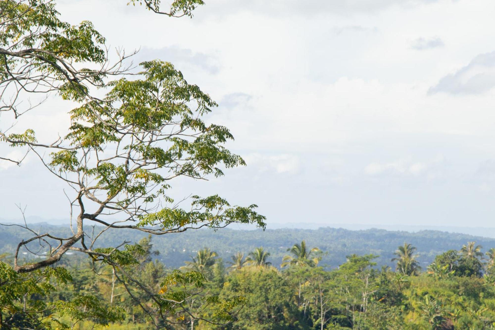 Goa Walet Cottage Praya Ngoại thất bức ảnh