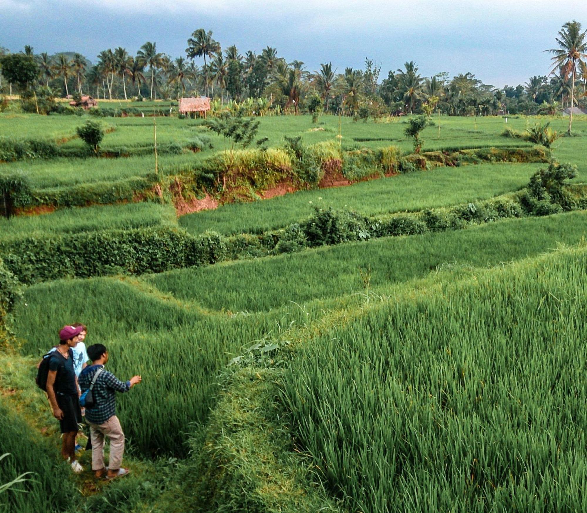 Goa Walet Cottage Praya Ngoại thất bức ảnh