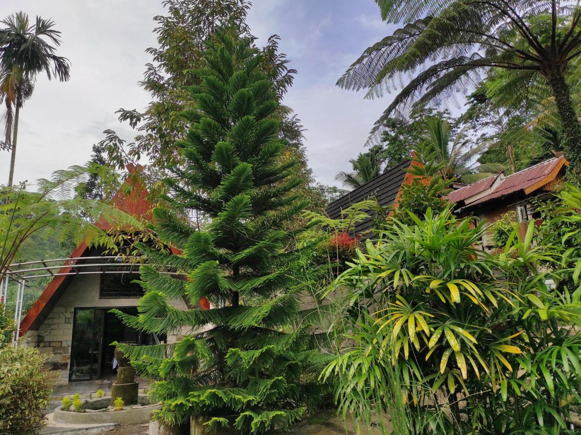 Goa Walet Cottage Praya Ngoại thất bức ảnh