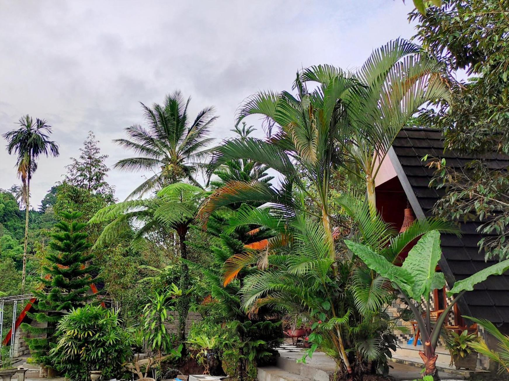 Goa Walet Cottage Praya Ngoại thất bức ảnh